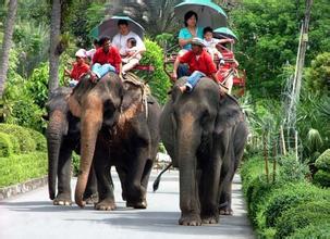 西安康辉旅行社