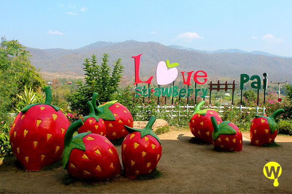 西安康辉旅行社