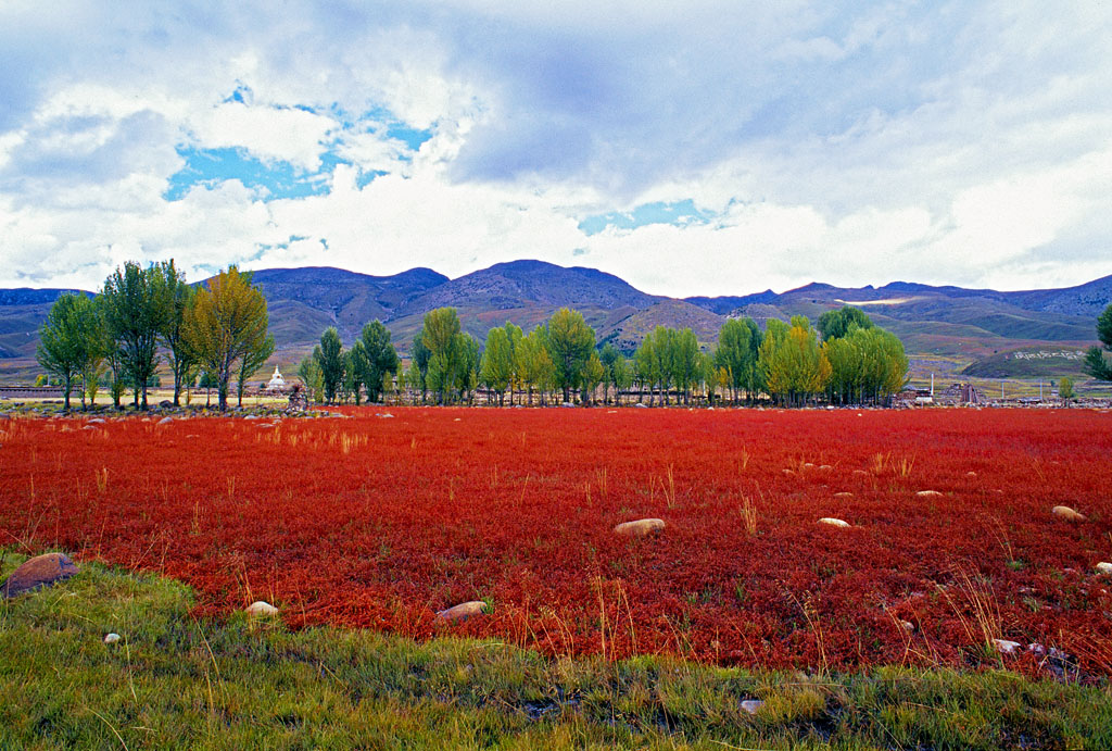 西安康辉旅行社