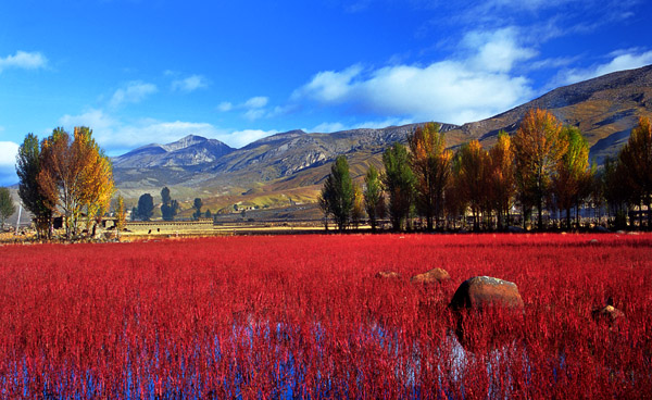 西安康辉旅行社