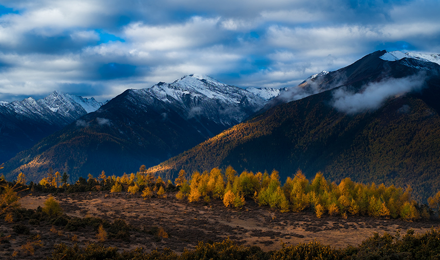 西安康辉旅行社