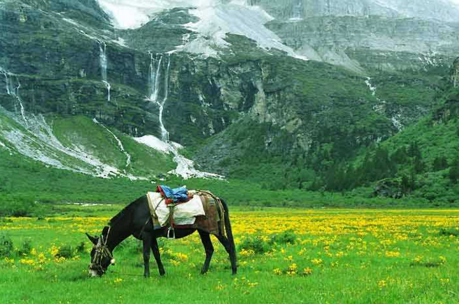 西安康辉旅行社