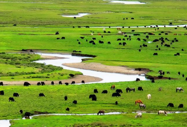 西安康辉旅行社