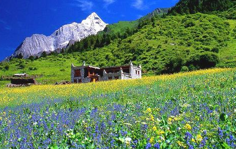 西安康辉旅行社官网