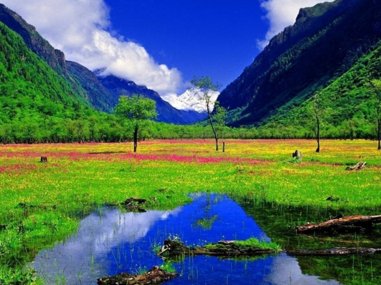 西安康辉旅行社