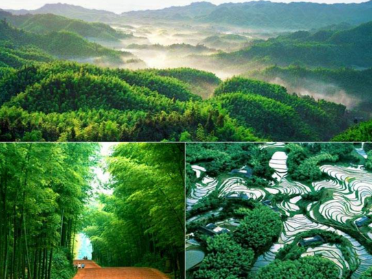 西安康辉旅行社