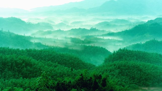 西安康辉旅行社官网