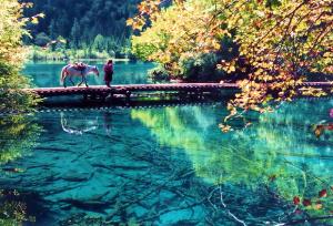 西安康辉旅行社