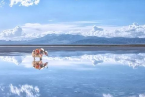 西安康辉旅行社