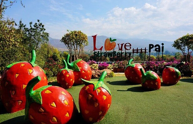 西安康辉旅行社