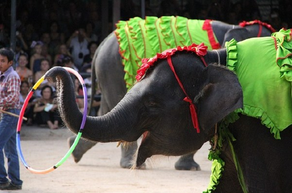 西安康辉旅行社