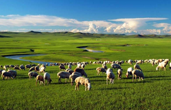 西安康辉旅行社