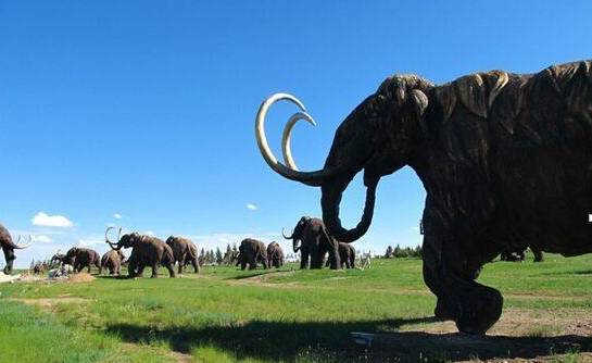 西安康辉旅行社