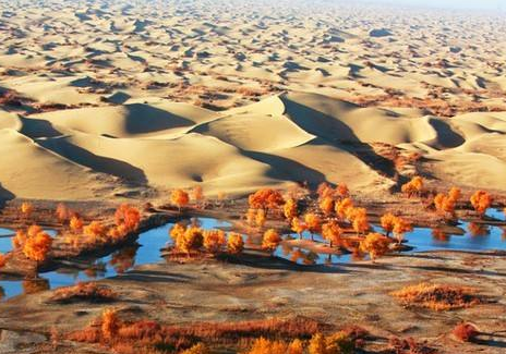 西安康辉旅行社