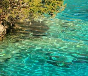 西安康辉旅行社